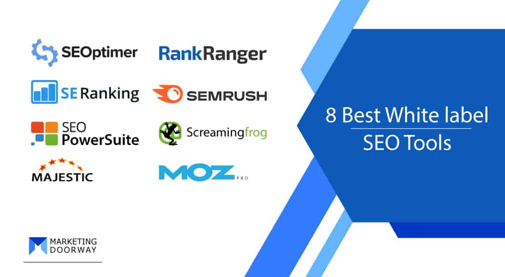 seo backlinking service